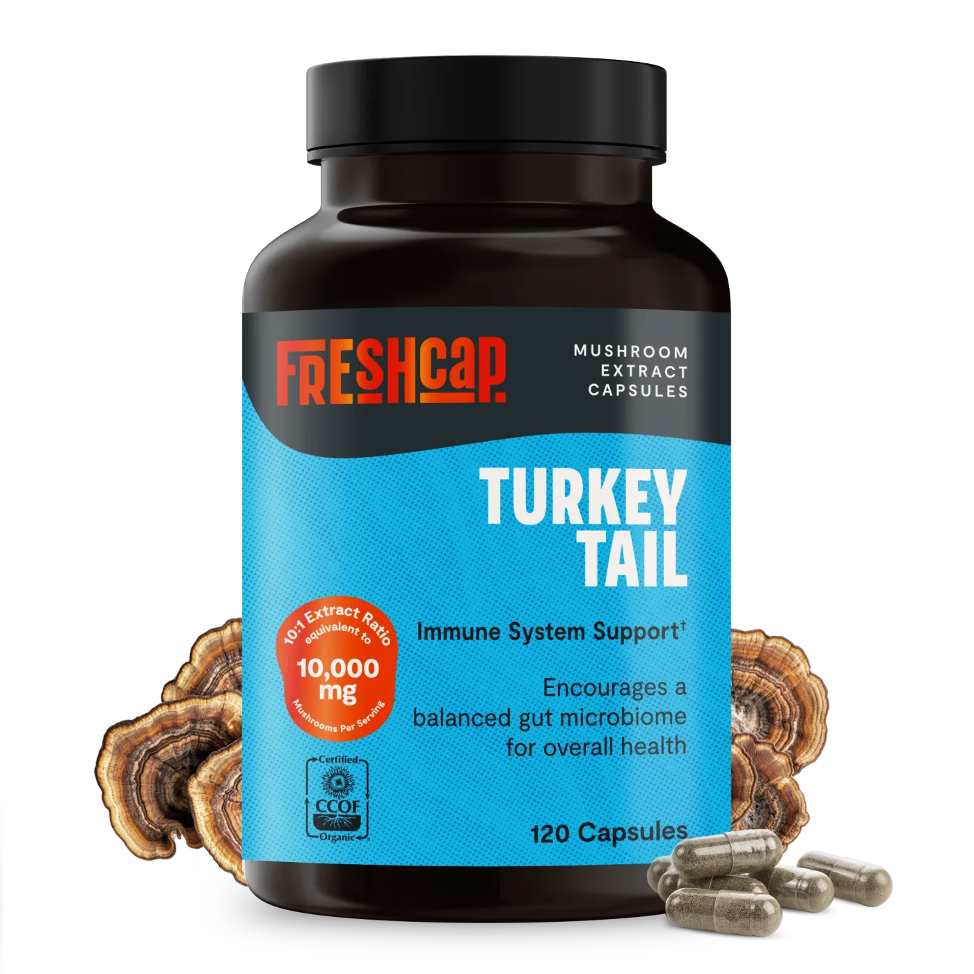 Organic Turkey Tail Mushroom Capsules