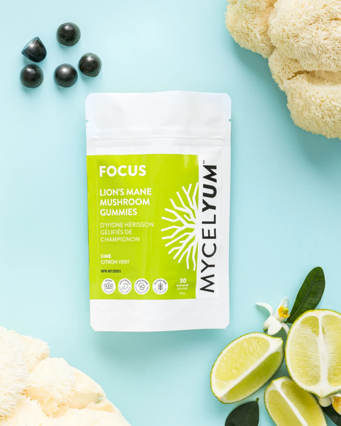 FOCUS with Lion's Mane