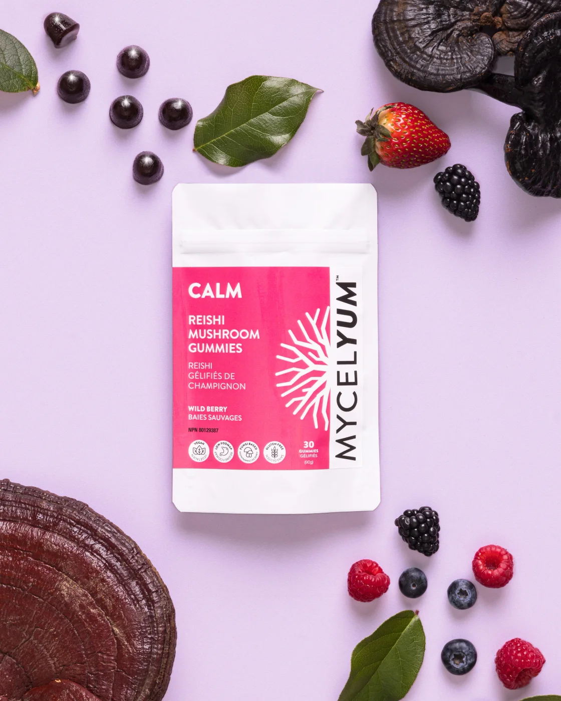CALM with Reishi