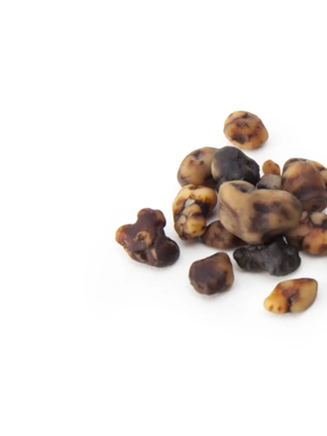 Kokopelli Microdosing Truffle Strip