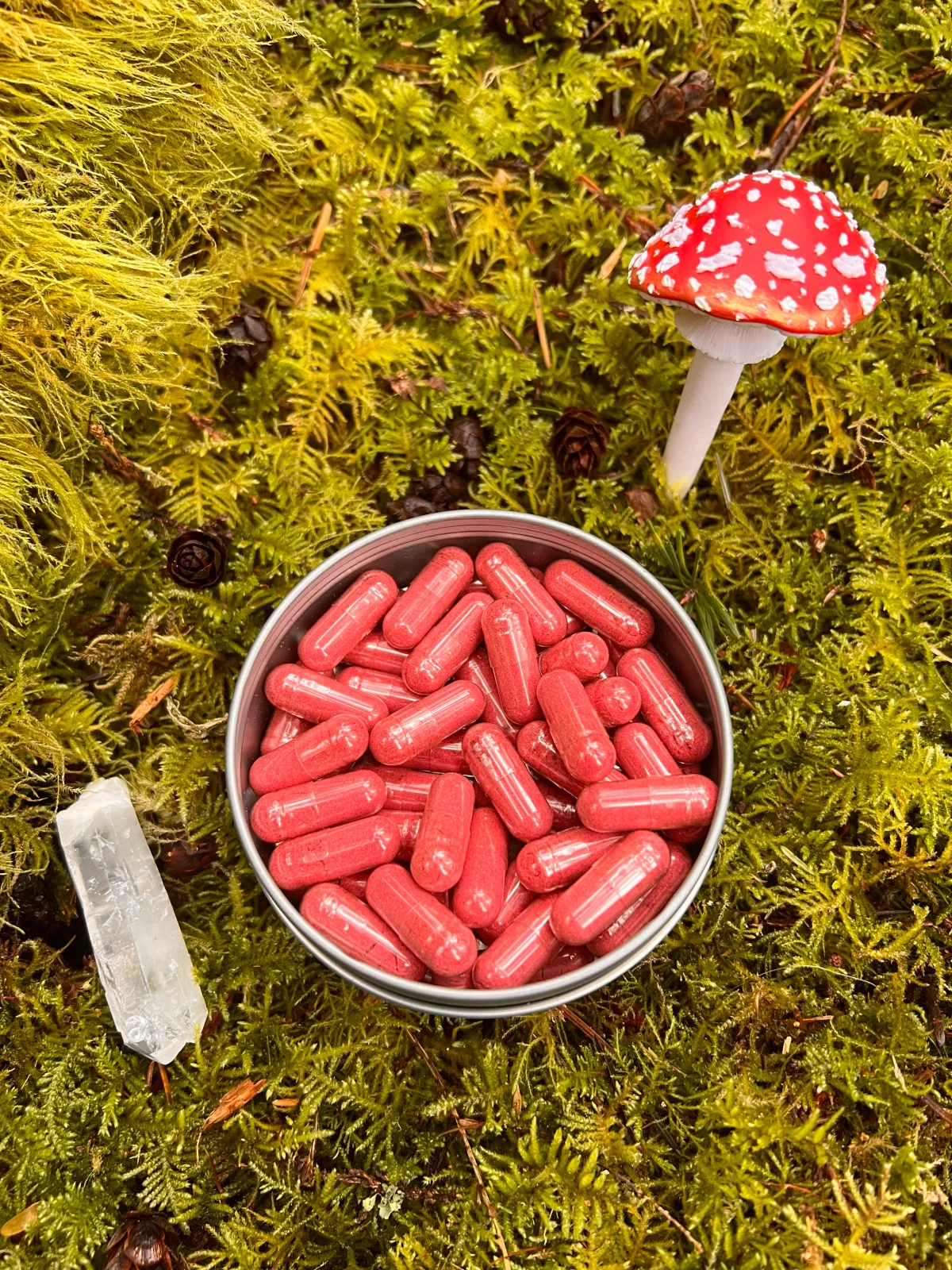 Luminita Ruby Amanita Microdose Capsules