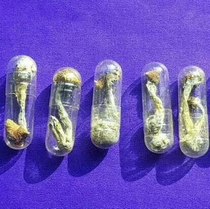 UK Magic Shroom Microdose Capsule Pills